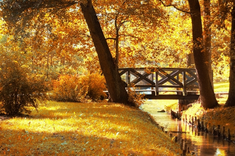 When A Death Occurs | Children & Grief | The Grieving Process | Askew